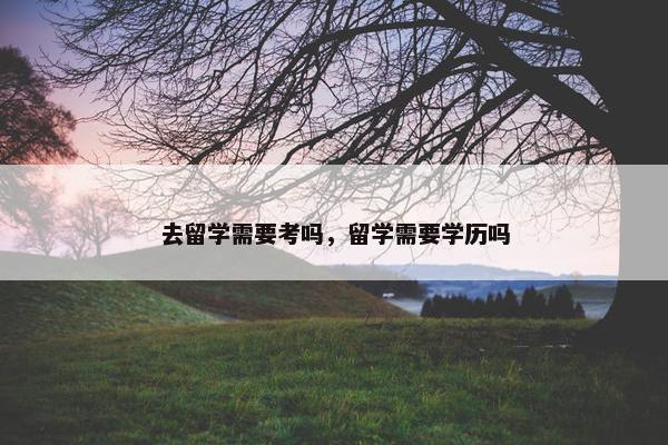 去留学需要考吗，留学需要学历吗