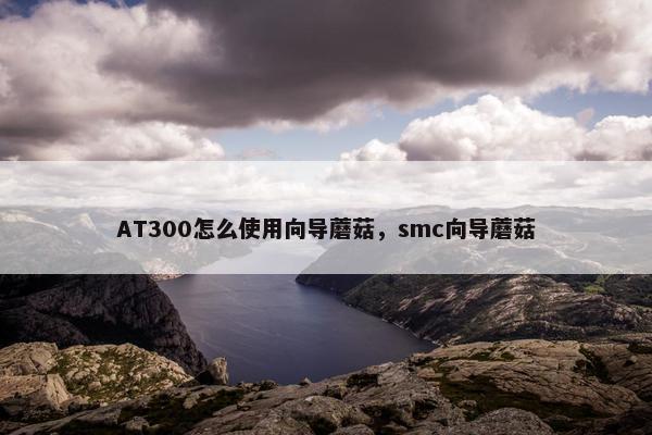 AT300怎么使用向导蘑菇，smc向导蘑菇