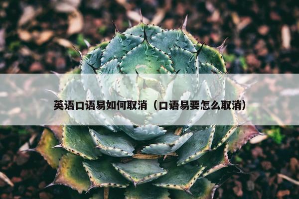 英语口语易如何取消（口语易要怎么取消）