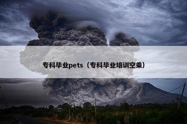 专科毕业pets（专科毕业培训空乘）