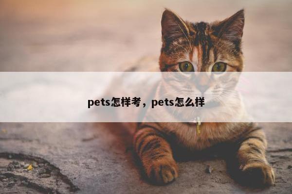 pets怎样考，pets怎么样