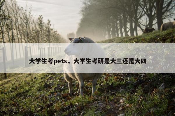 大学生考pets，大学生考研是大三还是大四