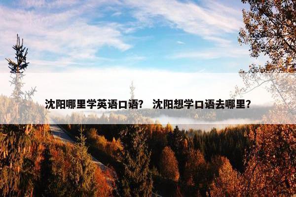 沈阳哪里学英语口语？ 沈阳想学口语去哪里？