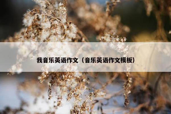 我音乐英语作文（音乐英语作文模板）