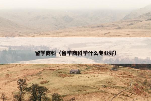 留学商科（留学商科学什么专业好）
