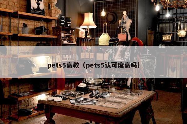 pets5高教（pets5认可度高吗）