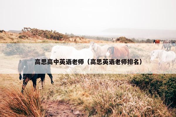 高思高中英语老师（高思英语老师排名）
