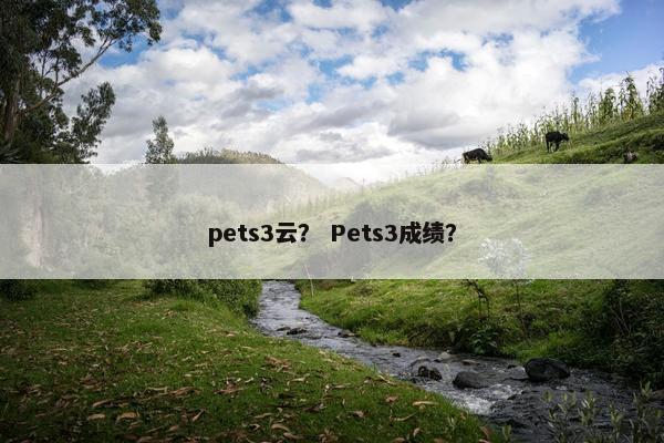 pets3云？ Pets3成绩？