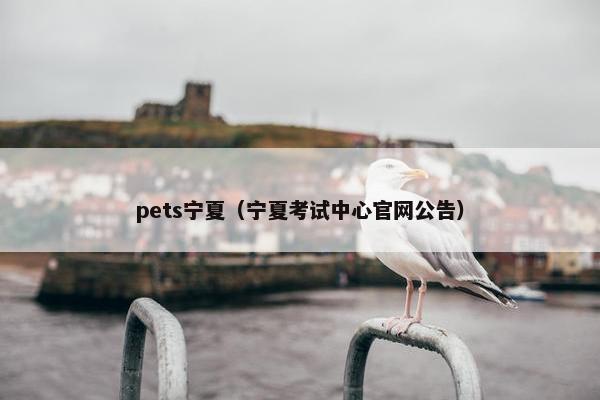 pets宁夏（宁夏考试中心官网公告）