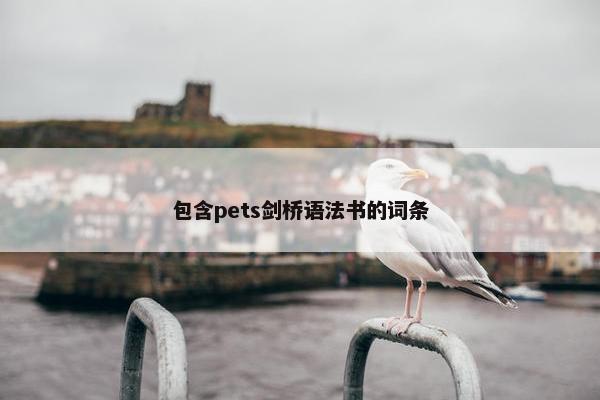 包含pets剑桥语法书的词条