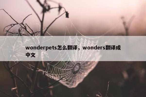wonderpets怎么翻译，wonders翻译成中文