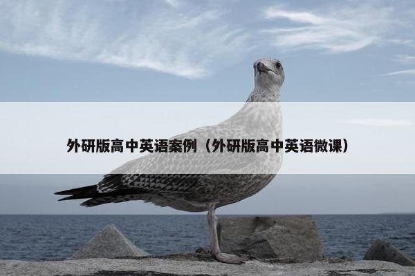 外研版高中英语案例（外研版高中英语微课）
