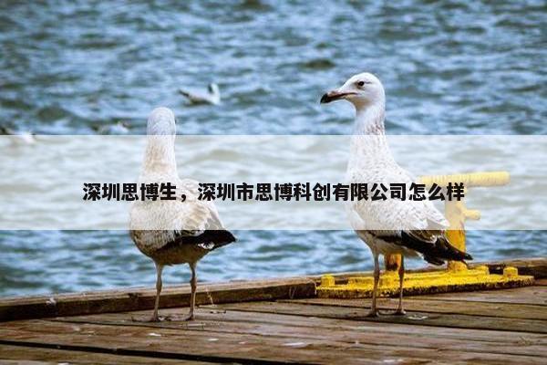 深圳思博生，深圳市思博科创有限公司怎么样