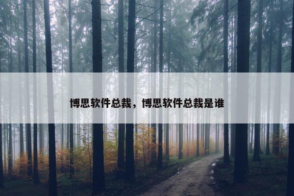 博思软件总裁，博思软件总裁是谁