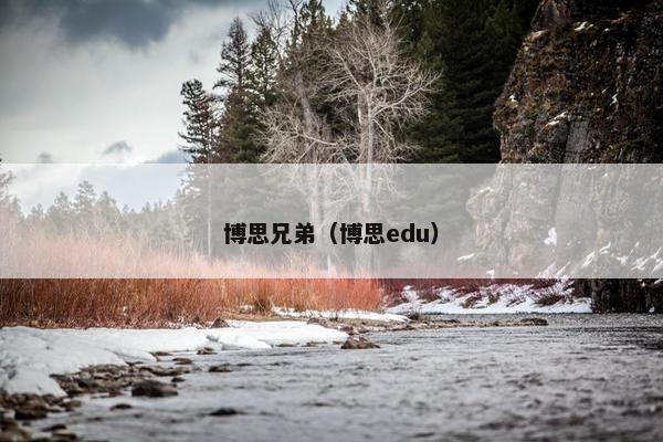 博思兄弟（博思edu）