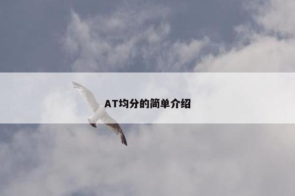 AT均分的简单介绍
