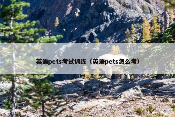 英语pets考试训练（英语pets怎么考）