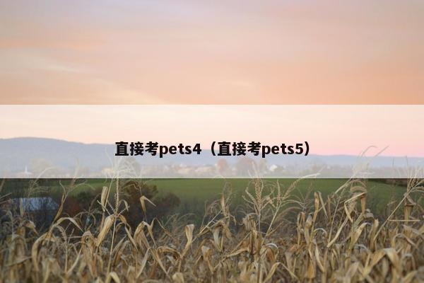 直接考pets4（直接考pets5）