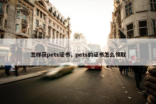 怎样获pets证书，pets的证书怎么领取