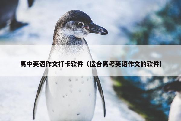 高中英语作文打卡软件（适合高考英语作文的软件）