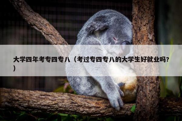 大学四年考专四专八（考过专四专八的大学生好就业吗?）