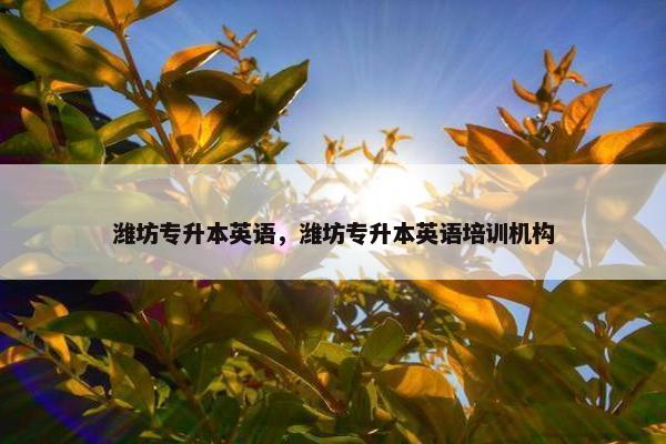 潍坊专升本英语，潍坊专升本英语培训机构