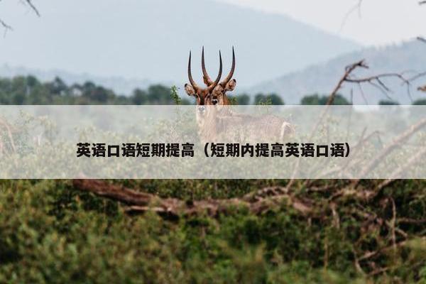 英语口语短期提高（短期内提高英语口语）