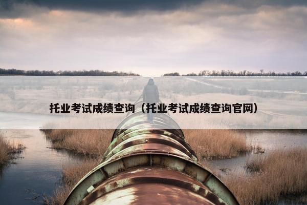 托业考试成绩查询（托业考试成绩查询官网）