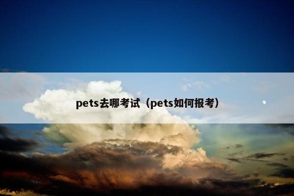 pets去哪考试（pets如何报考）