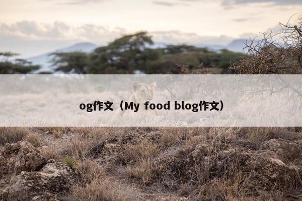 og作文（My food blog作文）