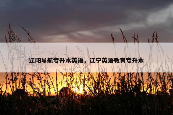 辽阳导航专升本英语，辽宁英语教育专升本