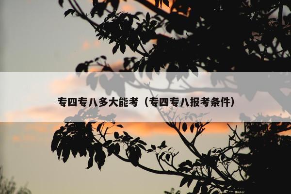 专四专八多大能考（专四专八报考条件）