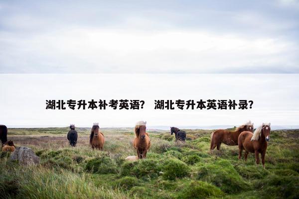 湖北专升本补考英语？ 湖北专升本英语补录？