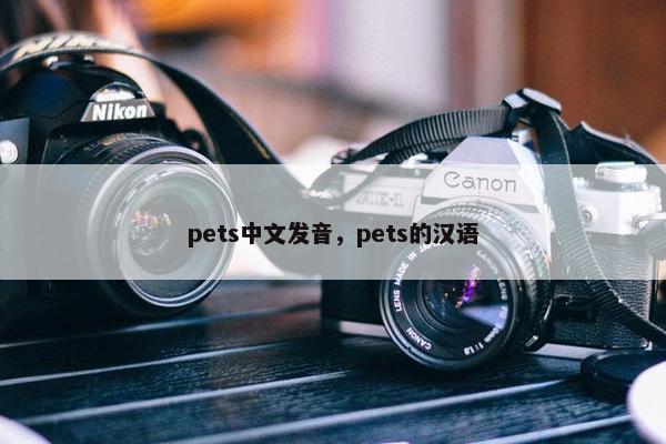 pets中文发音，pets的汉语