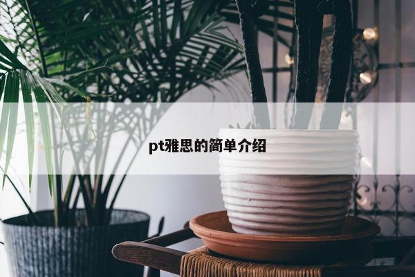 pt雅思的简单介绍