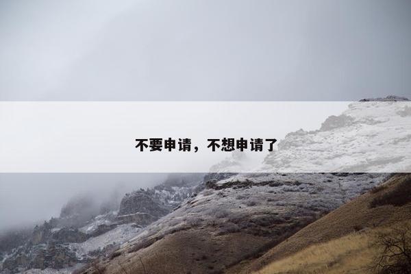 不要申请，不想申请了