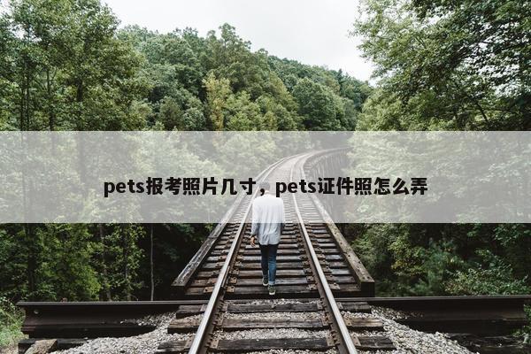 pets报考照片几寸，pets证件照怎么弄