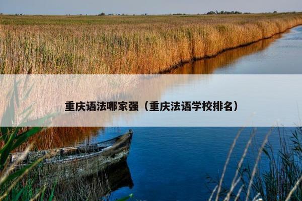 重庆语法哪家强（重庆法语学校排名）