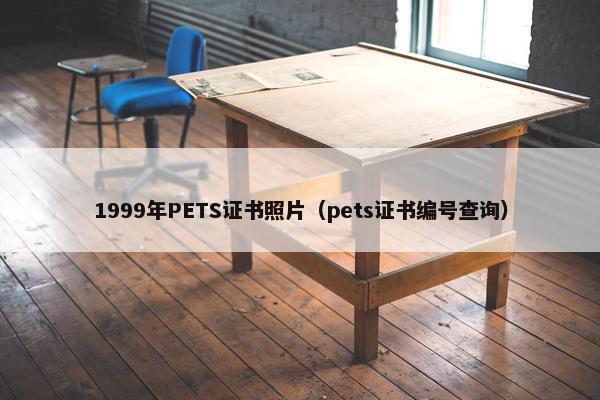1999年PETS证书照片（pets证书编号查询）