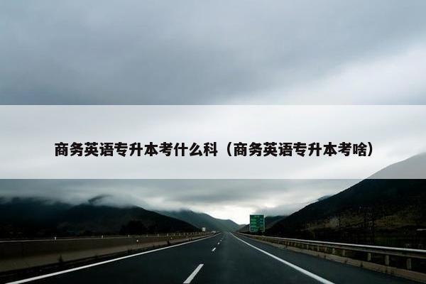 商务英语专升本考什么科（商务英语专升本考啥）