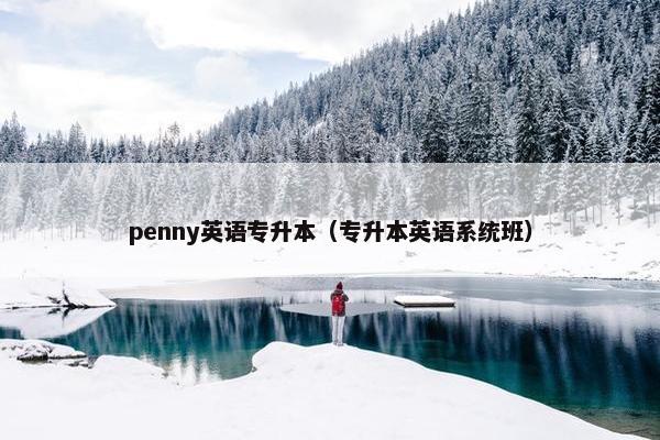 penny英语专升本（专升本英语系统班）