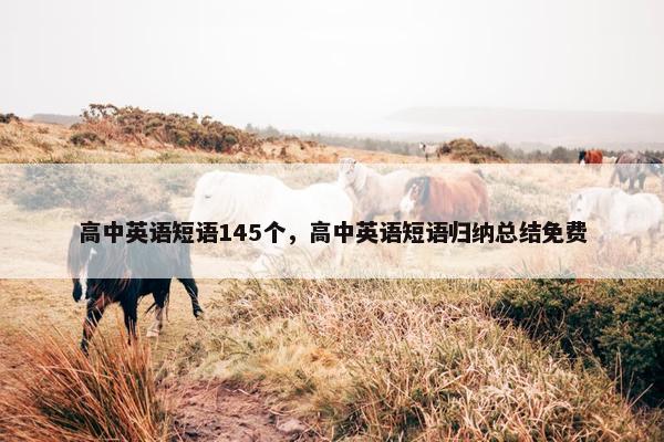 高中英语短语145个，高中英语短语归纳总结免费