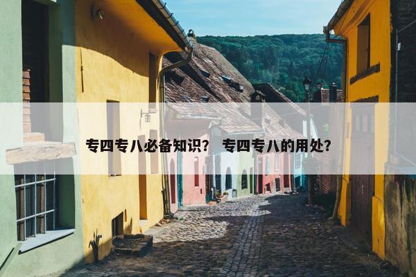 专四专八必备知识？ 专四专八的用处？
