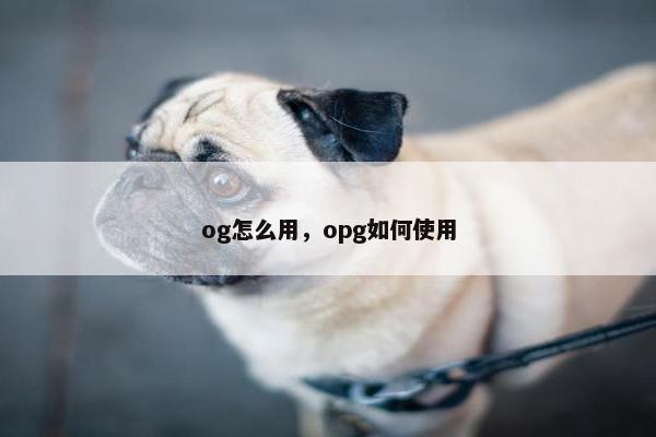 og怎么用，opg如何使用