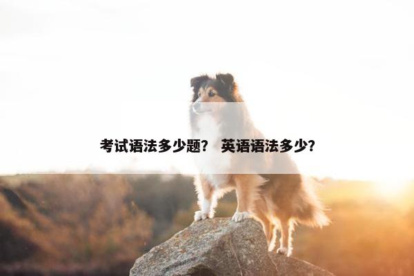考试语法多少题？ 英语语法多少？