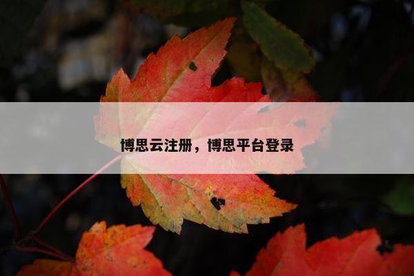 博思云注册，博思平台登录