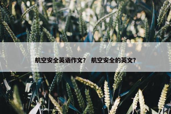 航空安全英语作文？ 航空安全的英文？