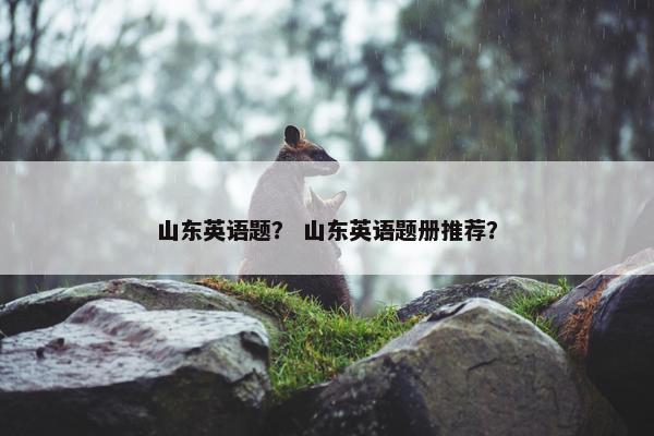 山东英语题？ 山东英语题册推荐？