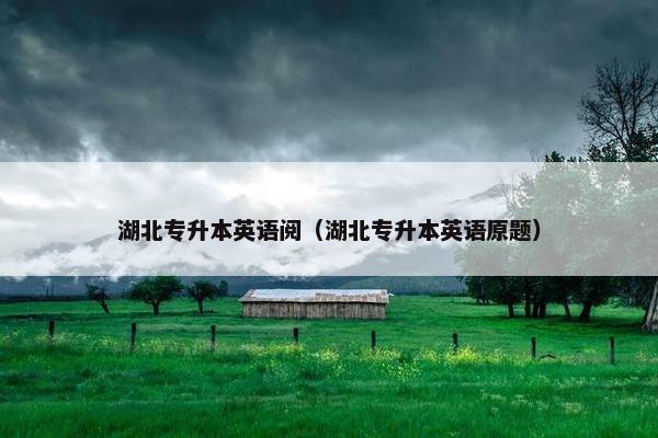 湖北专升本英语阅（湖北专升本英语原题）