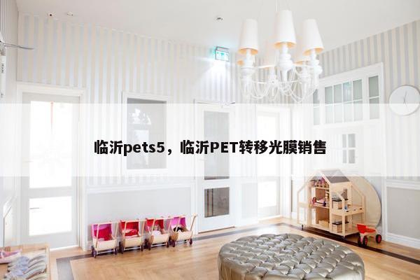临沂pets5，临沂PET转移光膜销售